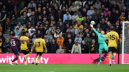 วูล์ฟส์ พบ นิวคาสเซิ่ล ยูไนเต็ด