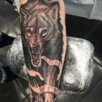 6686体育官方作者Orion