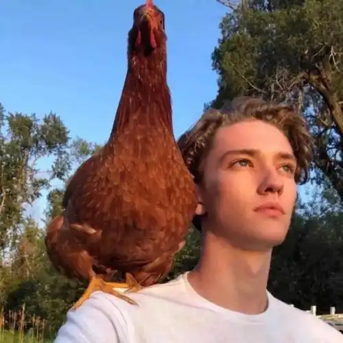 6686体育海外作者Yuri